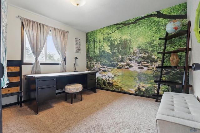 6406 Blue Spruce Ct, Black Hawk, SD 57718 - office area featuring carpet flooring