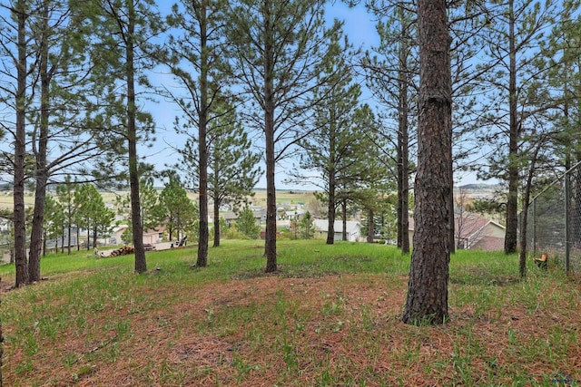 6406 Blue Spruce Ct, Black Hawk, SD 57718 - view of yard
