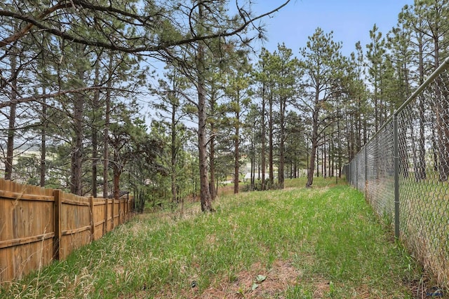 6406 Blue Spruce Ct, Black Hawk, SD 57718 - view of yard featuring fence