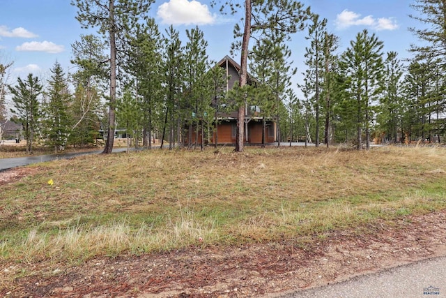 21298 Ridgewood Trl, Lead, SD 57754 - view of yard