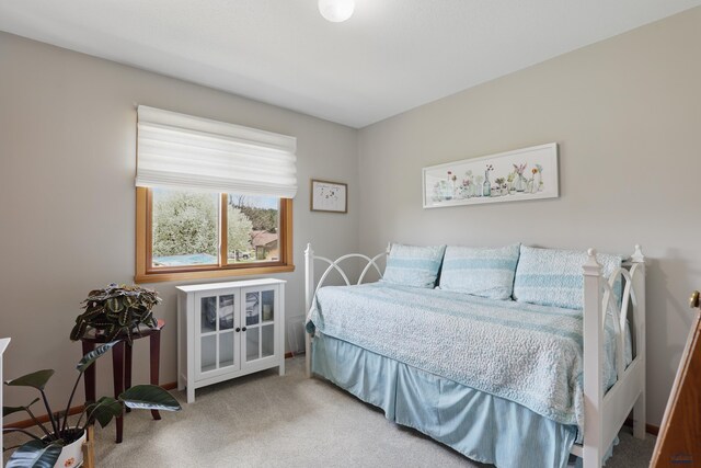7315 Raven Ct, Rapid City, SD 57702 - bedroom with carpet floors