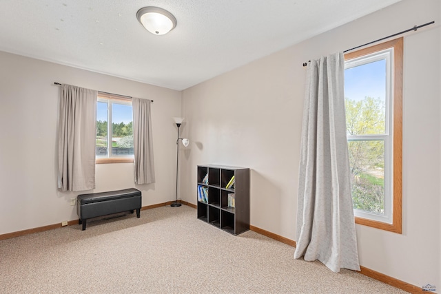living area with carpet and baseboards