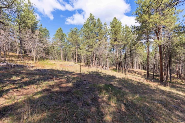 13730 Canyon Ct, Hermosa, SD 57744