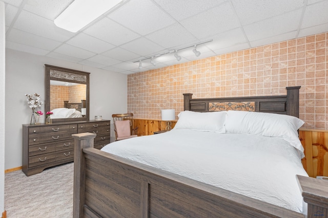 4037 Valley W Dr, Rapid City, SD 57702 - carpeted bedroom featuring rail lighting, a paneled ceiling, and baseboards