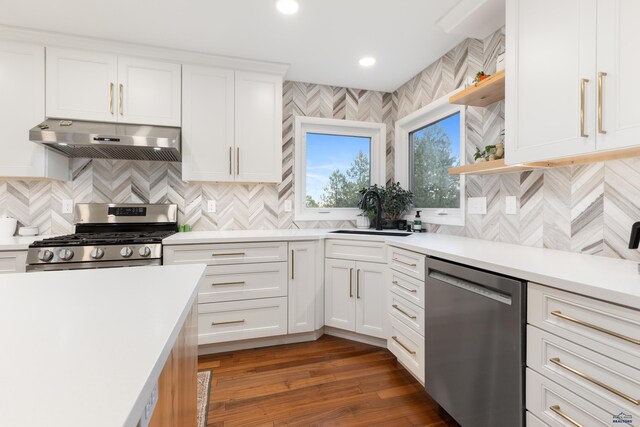 4037 Valley W Dr, Rapid City, SD 57702 - kitchen with under cabinet range hood, appliances with stainless steel finishes, a sink, open shelves, and tasteful backsplash