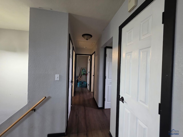 hallway with dark wood-type flooring