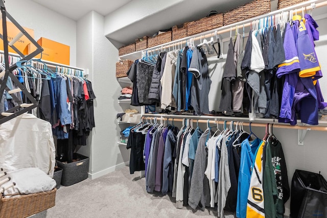 506 Solomon Ct, Rapid City, SD 57703 - spacious closet with carpet floors