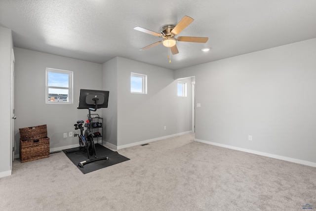 506 Solomon Ct, Rapid City, SD 57703 - workout area with carpet floors, plenty of natural light, and ceiling fan