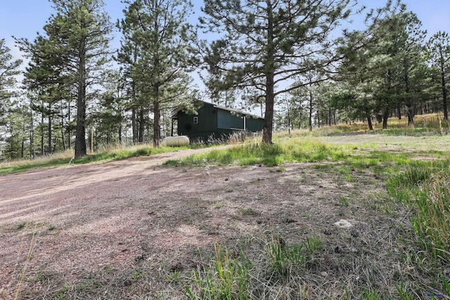 24427 Thovson Rd, Keystone, SD 57751 - view of yard with an outbuilding