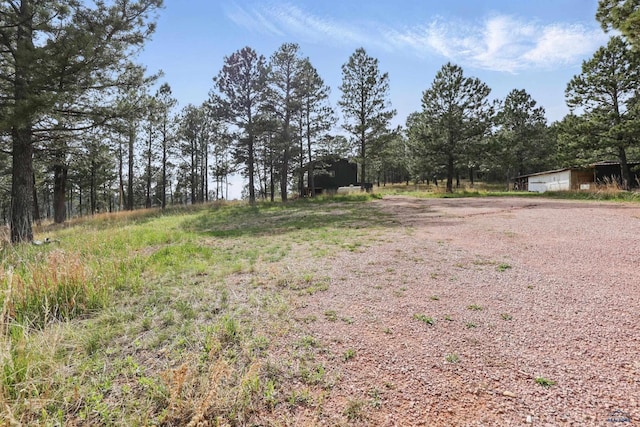 24427 Thovson Rd, Keystone, SD 57751 - view of yard with driveway