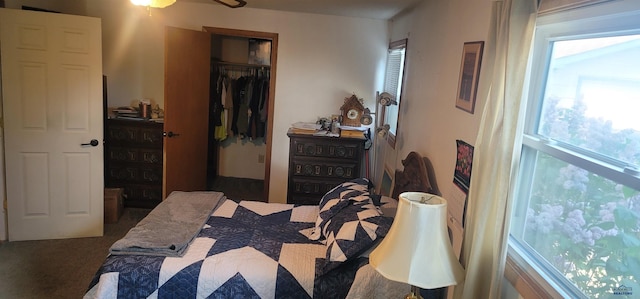 4218 Sweetbriar, Rapid City, SD 57703 - bedroom featuring a closet and carpet floors