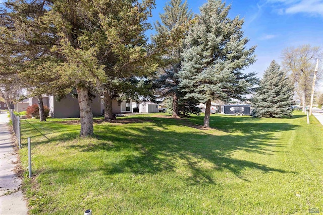 819 Sly St, Sturgis, SD 57785 - view of green lawn
