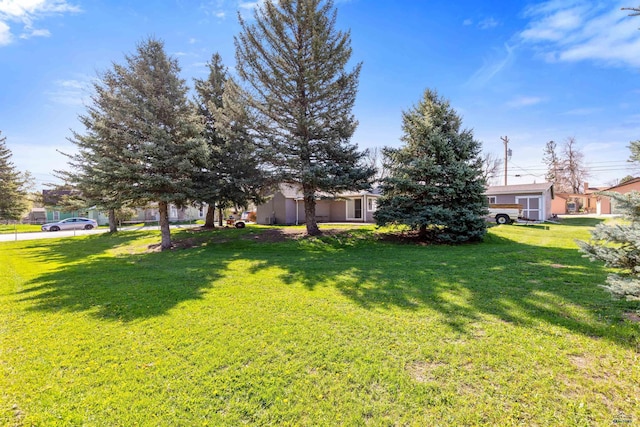 819 Sly St, Sturgis, SD 57785 - view of green lawn
