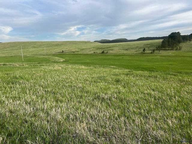 13507 Hialeah Ct, Piedmont, SD 57769