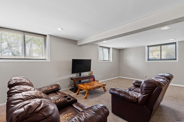 202 S B Ave, New Underwood, SD 57761 - carpeted living area with baseboards and recessed lighting