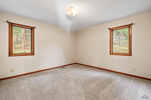 12087 Kaubisch Ranch Rd, Hill City, SD 57745 - unfurnished room featuring healthy amount of natural light, carpet floors, a textured ceiling, and baseboards