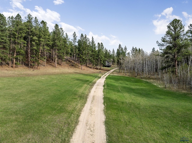 12087 Kaubisch Ranch Rd, Hill City, SD 57745 - view of road featuring a wooded view