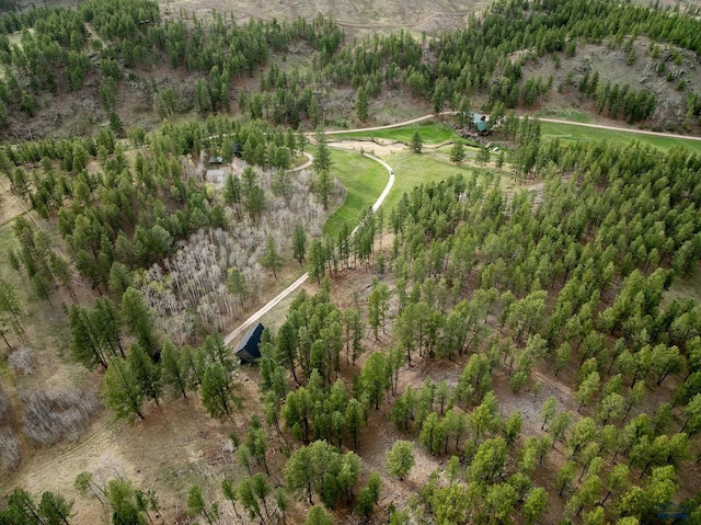 12087 Kaubisch Ranch Rd, Hill City, SD 57745 - aerial overview of property's location