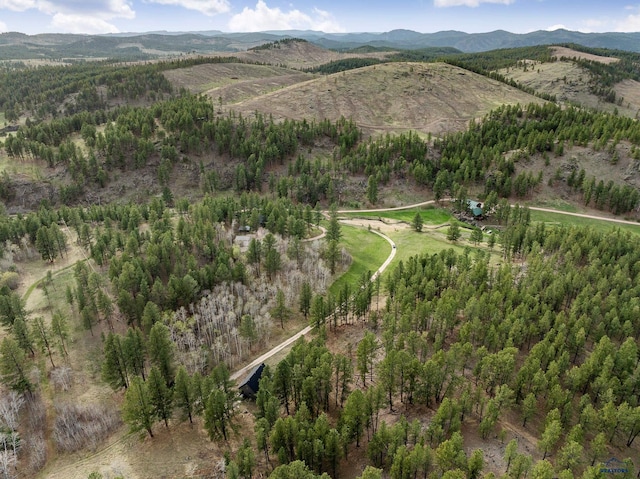 12087 Kaubisch Ranch Rd, Hill City, SD 57745 - aerial overview of property's location featuring a mountain backdrop