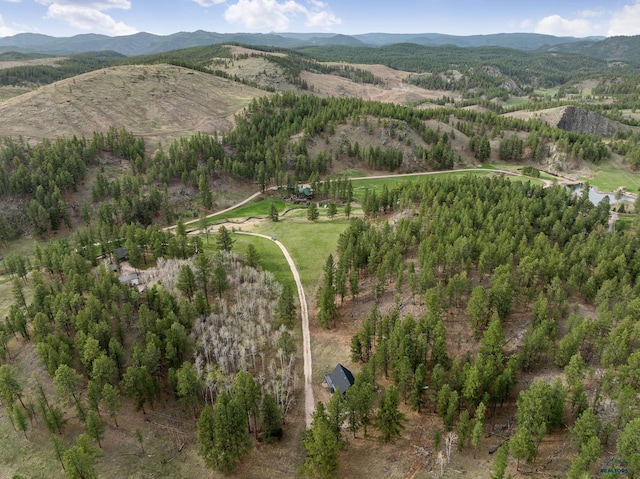 12087 Kaubisch Ranch Rd, Hill City, SD 57745 - aerial view of property's location featuring a mountain backdrop