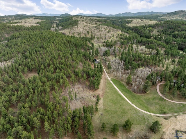 12087 Kaubisch Ranch Rd, Hill City, SD 57745 - aerial view of property's location featuring a forest and a mountain backdrop