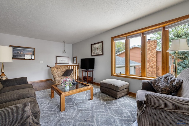 3204 Flint Dr, Rapid City, SD 57702 - living room featuring healthy amount of natural light, wood finished floors, baseboards, and a textured ceiling