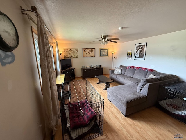 living room featuring light wood finished floors, a textured ceiling, and a ceiling fan