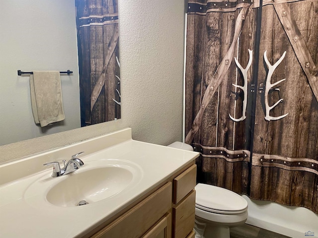 1064 Quinn Dr, Hill City, SD 57745 - full bath with a textured wall, toilet, vanity, and curtained shower