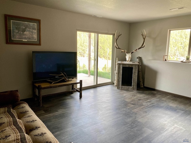 1064 Quinn Dr, Hill City, SD 57745 - living room featuring wood finished floors and a fireplace
