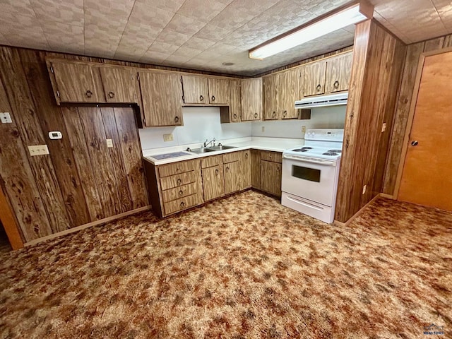 1504 Morningside Dr, Rapid City, SD 57701 - kitchen featuring electric range, a sink, under cabinet range hood, light countertops, and wood walls