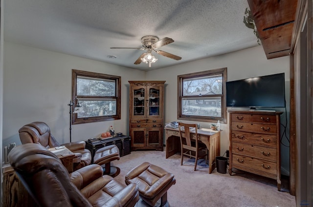 4240 Foothill Dr, Rapid City, SD 57702 - office with plenty of natural light, light carpet, a ceiling fan, and a textured ceiling