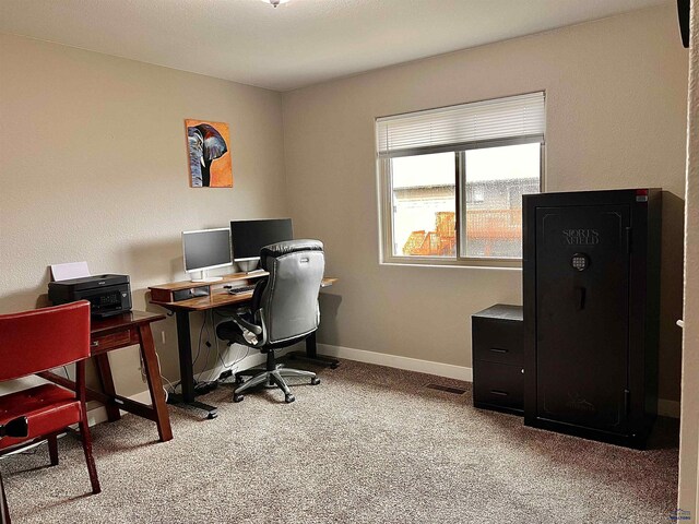 3620 Remington Rd, Rapid City, SD 57703 - home office with carpet and baseboards