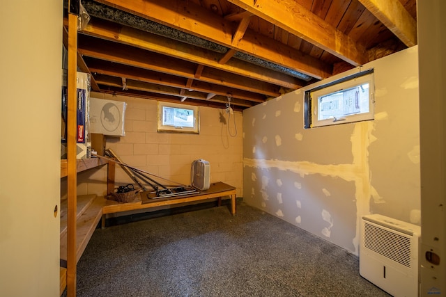 1421 12th Ave, Belle Fourche, SD 57717 - below grade area featuring concrete block wall and heating unit
