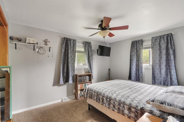712 Stanley, Belle Fourche, SD 57717 - bedroom with multiple windows, carpet, baseboards, and a ceiling fan