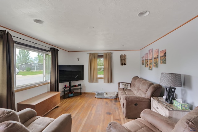 712 Stanley, Belle Fourche, SD 57717 - living room with healthy amount of natural light, wood finished floors, and ornamental molding