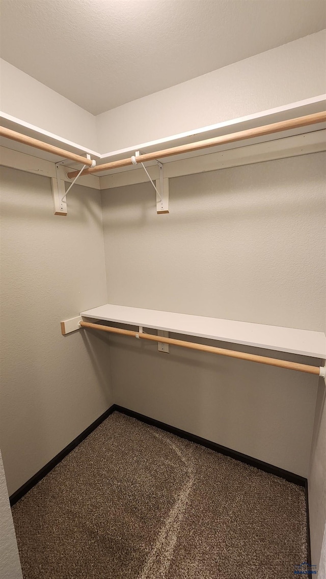 453 Yelner Dr Lot 14Blk 5, Box Elder, SD 57719 - walk in closet featuring carpet flooring
