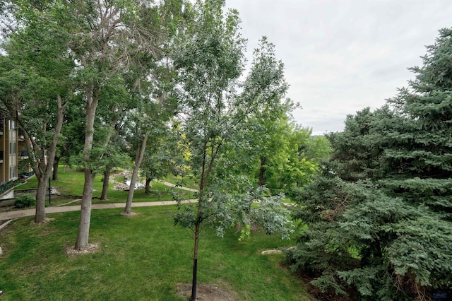 3965 Fairway Hills Dr, Rapid City, SD 57702 - view of community with a yard