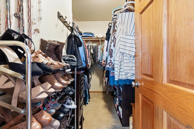 22841 Gateway Dr, Box Elder, SD 57719 - spacious closet with carpet floors