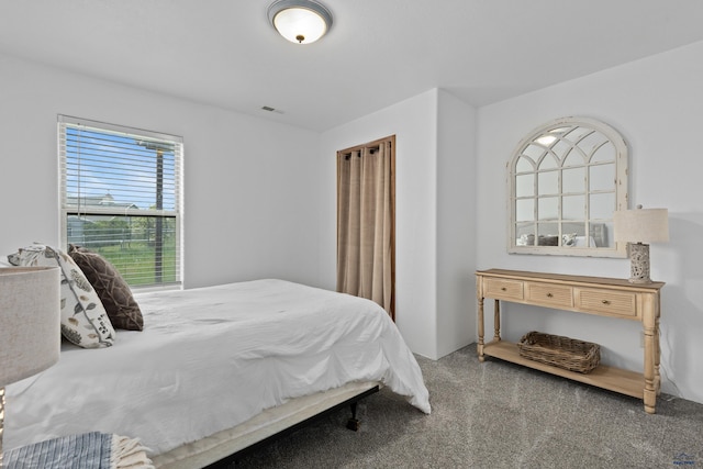 6401 Mountain Meadow Rd, Black Hawk, SD 57718 - view of carpeted bedroom