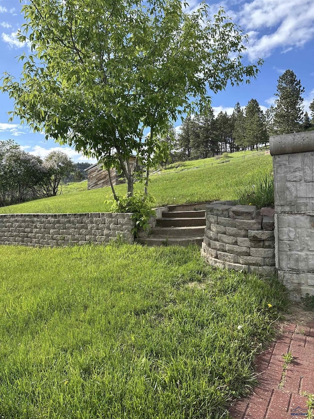 1523 Hope St, Sturgis, SD 57785 - view of green lawn