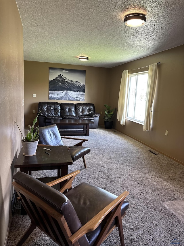 1523 Hope St, Sturgis, SD 57785 - carpeted living room featuring a textured ceiling