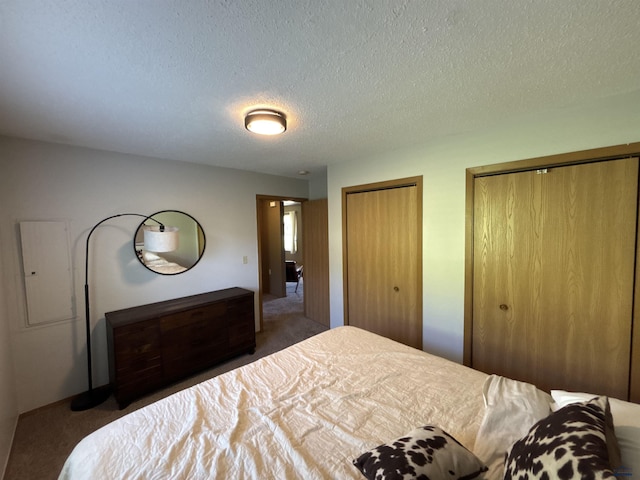 1523 Hope St, Sturgis, SD 57785 - bedroom with carpet, multiple closets, a textured ceiling, and electric panel