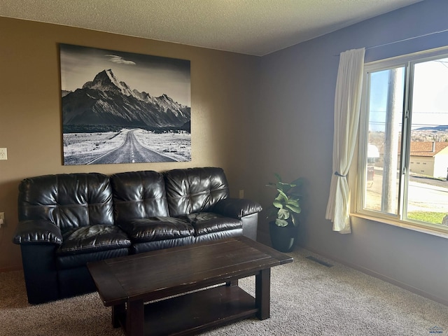 1523 Hope St, Sturgis, SD 57785 - carpeted living area with healthy amount of natural light and a textured ceiling