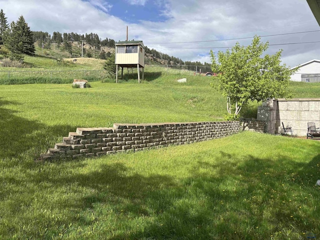 1523 Hope St, Sturgis, SD 57785 - view of yard