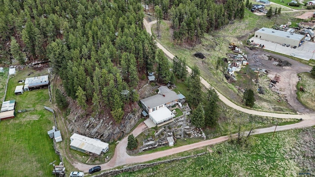 12384 Stannum Pl, Hill City, SD 57745 - aerial view of property and surrounding area