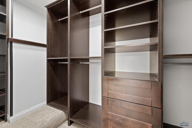 1215 Range View Cir, Rapid City, SD 57701 - spacious closet with carpet floors