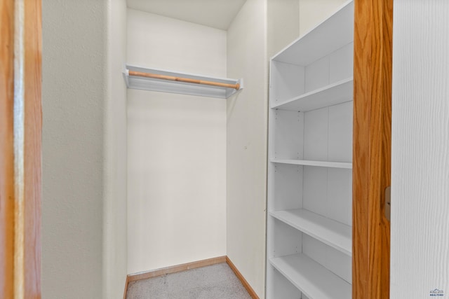 4300 Donegal Way, Rapid City, SD 57702 - walk in closet with carpet flooring