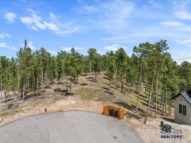 11315 Overlook Ct, Lead, SD 57754