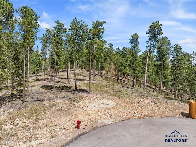 11315 Overlook Ct, Lead, SD 57754