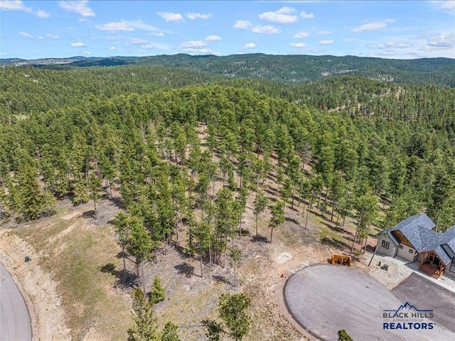 11315 Overlook Ct, Lead, SD 57754
